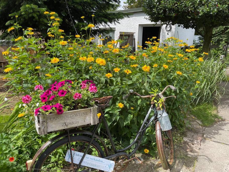 Tiny House Ostsee # Naturwerk Pruchten Zewnętrze zdjęcie