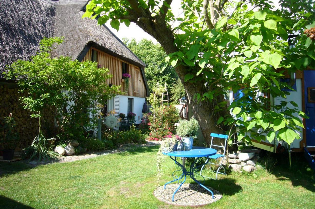 Tiny House Ostsee # Naturwerk Pruchten Zewnętrze zdjęcie