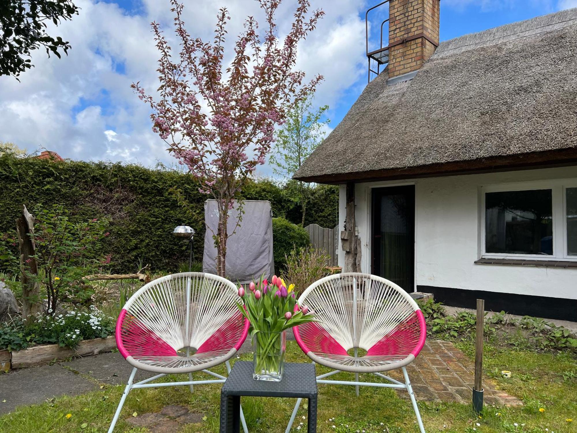 Tiny House Ostsee # Naturwerk Pruchten Zewnętrze zdjęcie